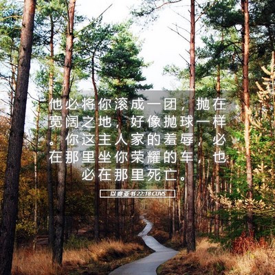 Picture 05 - 以 赛 亚 书 22:18 CUVS - 他 必 将 你 滚 成 一 团 ， 抛 在 宽 - Bible Verse Picture