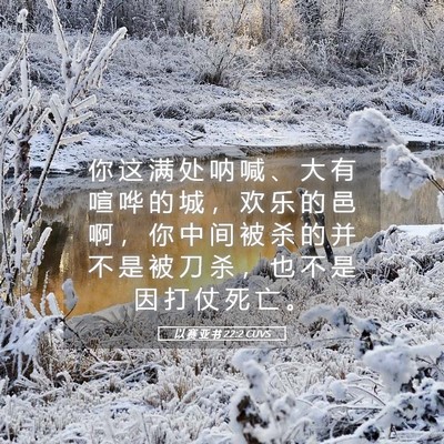 Picture 05 - 以 赛 亚 书 22:2 CUVS - 你 这 满 处 呐 喊 、 大 有 喧 哗 的 - Bible Verse Picture