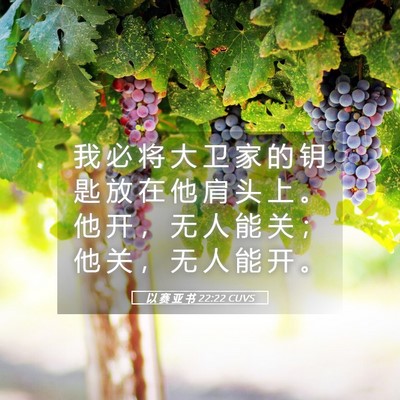 Picture 05 - 以 赛 亚 书 22:22 CUVS - 我 必 将 大 卫 家 的 钥 匙 放 在 他 - Bible Verse Picture