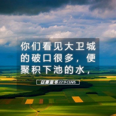 Picture 05 - 以 赛 亚 书 22:9 CUVS - 你 们 看 见 大 卫 城 的 破 口 很 多 - Bible Verse Picture
