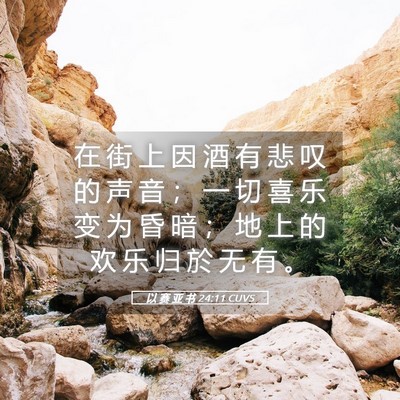 Picture 05 - 以 赛 亚 书 24:11 CUVS - 在 街 上 因 酒 有 悲 叹 的 声 音 ； - Bible Verse Picture