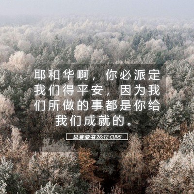 Picture 05 - 以 赛 亚 书 26:12 CUVS - 耶 和 华 啊 ， 你 必 派 定 我 们 得 - Bible Verse Picture