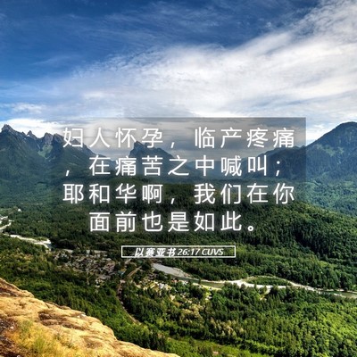 Picture 05 - 以 赛 亚 书 26:17 CUVS - 妇 人 怀 孕 ， 临 产 疼 痛 ， 在 痛 - Bible Verse Picture