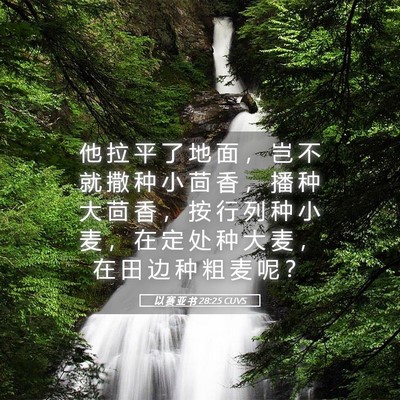 Picture 05 - 以 赛 亚 书 28:25 CUVS - 他 拉 平 了 地 面 ， 岂 不 就 撒 种 - Bible Verse Picture