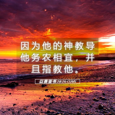 Picture 05 - 以 赛 亚 书 28:26 CUVS - 因 为 他 的 神 教 导 他 务 农 相 宜 - Bible Verse Picture