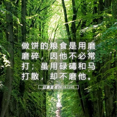 Picture 05 - 以 赛 亚 书 28:28 CUVS - 做 饼 的 粮 食 是 用 磨 磨 碎 ， 因 - Bible Verse Picture