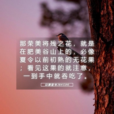 Picture 05 - 以 赛 亚 书 28:4 CUVS - 那 荣 美 将 残 之 花 ， 就 是 在 肥 - Bible Verse Picture