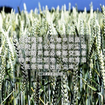 Picture 05 - 以 赛 亚 书 29:4 CUVS - 你 必 败 落 ， 从 地 中 说 话 ； 你 - Bible Verse Picture
