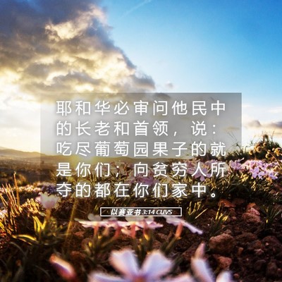 Picture 05 - 以 赛 亚 书 3:14 CUVS - 耶 和 华 必 审 问 他 民 中 的 长 老 - Bible Verse Picture