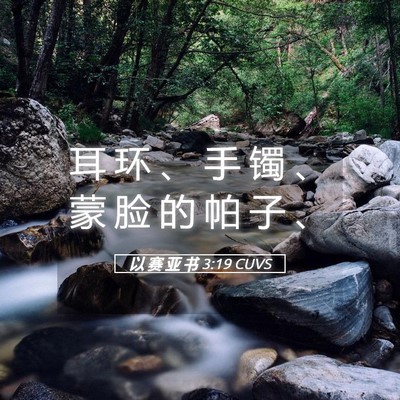 Picture 05 - 以 赛 亚 书 3:19 CUVS - 耳 环 、 手 镯 、 蒙 脸 的 帕 子 - Bible Verse Picture