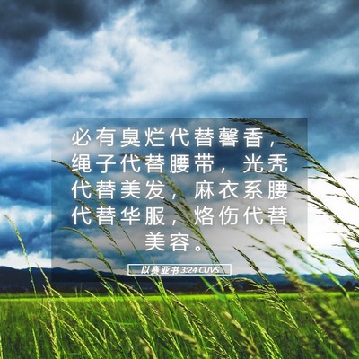 Picture 05 - 以 赛 亚 书 3:24 CUVS - 必 有 臭 烂 代 替 馨 香 ， 绳 子 代 - Bible Verse Picture