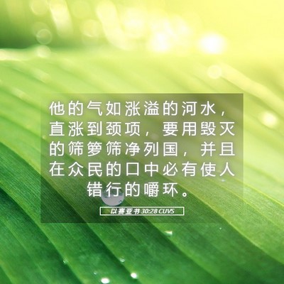 Picture 05 - 以 赛 亚 书 30:28 CUVS - 他 的 气 如 涨 溢 的 河 水 ， 直 涨 - Bible Verse Picture