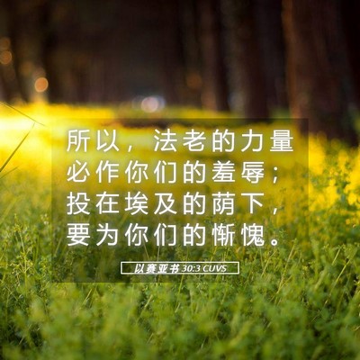 Picture 05 - 以 赛 亚 书 30:3 CUVS - 所 以 ， 法 老 的 力 量 必 作 你 们 - Bible Verse Picture