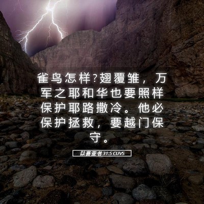 Picture 05 - 以 赛 亚 书 31:5 CUVS - 雀 鸟 怎 样 ? 翅 覆 雏 ， 万 军 之 耶 - Bible Verse Picture