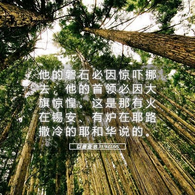 Picture 05 - 以 赛 亚 书 31:9 CUVS - 他 的 磐 石 必 因 惊 吓 挪 去 ； 他 - Bible Verse Picture