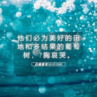 Picture 05 - 以 赛 亚 书 32:12 CUVS - 他 们 必 为 美 好 的 田 地 和 多 结 - Bible Verse Picture