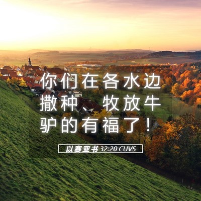 Picture 05 - 以 赛 亚 书 32:20 CUVS - 你 们 在 各 水 边 撒 种 、 牧 放 牛 - Bible Verse Picture