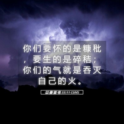 Picture 05 - 以 赛 亚 书 33:11 CUVS - 你 们 要 怀 的 是 糠 秕 ， 要 生 的 - Bible Verse Picture