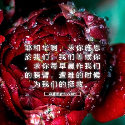 Picture 05 - 以 赛 亚 书 33:2 CUVS - 耶 和 华 啊 ， 求 你 施 恩 於 我 们 - Bible Verse Picture
