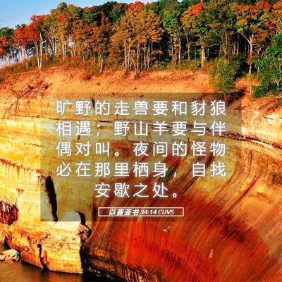 Picture 05 - 以 赛 亚 书 34:14 CUVS - 旷 野 的 走 兽 要 和 豺 狼 相 遇 ； - Bible Verse Picture
