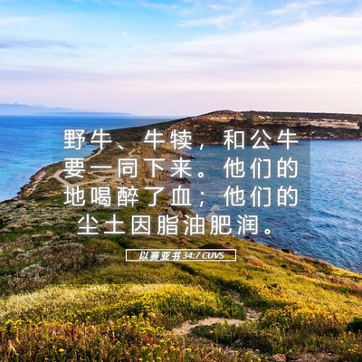 Picture 05 - 以 赛 亚 书 34:7 CUVS - 野 牛 、 牛 犊 ， 和 公 牛 要 一 同 - Bible Verse Picture