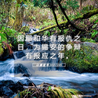 Picture 05 - 以 赛 亚 书 34:8 CUVS - 因 耶 和 华 有 报 仇 之 日 ， 为 锡 - Bible Verse Picture