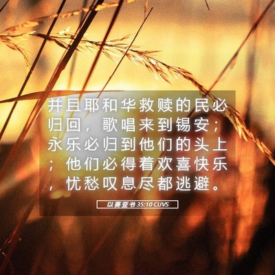 Picture 05 - 以 赛 亚 书 35:10 CUVS - 并 且 耶 和 华 救 赎 的 民 必 归 回 - Bible Verse Picture