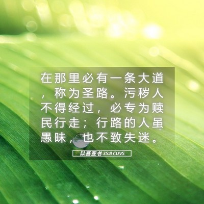 Picture 05 - 以 赛 亚 书 35:8 CUVS - 在 那 里 必 有 一 条 大 道 ， 称 为 - Bible Verse Picture