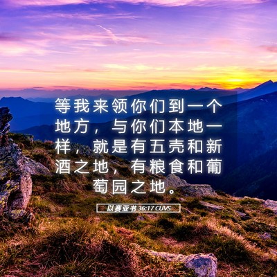 Picture 05 - 以 赛 亚 书 36:17 CUVS - 等 我 来 领 你 们 到 一 个 地 方 ， - Bible Verse Picture