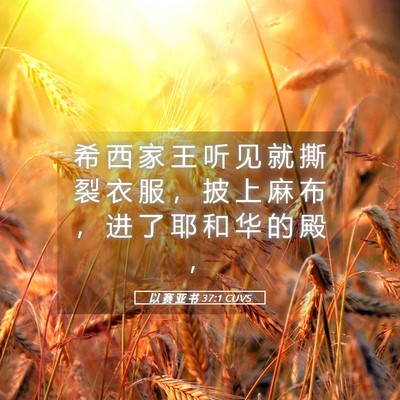 Picture 05 - 以 赛 亚 书 37:1 CUVS - 希 西 家 王 听 见 就 撕 裂 衣 服 ， - Bible Verse Picture