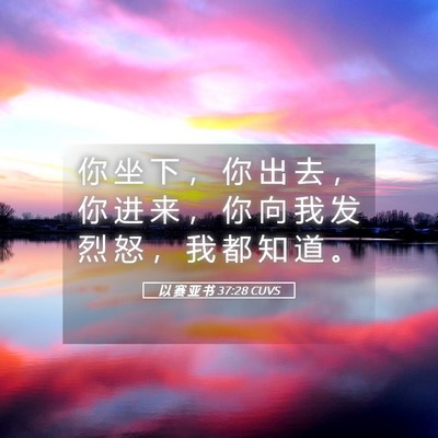 Picture 05 - 以 赛 亚 书 37:28 CUVS - 你 坐 下 ， 你 出 去 ， 你 进 来 ， - Bible Verse Picture