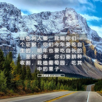 Picture 05 - 以 赛 亚 书 37:30 CUVS - 以 色 列 人 哪 ， 我 赐 你 们 一 个 - Bible Verse Picture