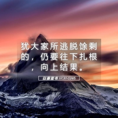 Picture 05 - 以 赛 亚 书 37:31 CUVS - 犹 大 家 所 逃 脱 馀 剩 的 ， 仍 要 - Bible Verse Picture