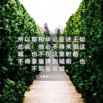 Picture 05 - 以 赛 亚 书 37:33 CUVS - 所 以 耶 和 华 论 亚 述 王 如 此 说 - Bible Verse Picture