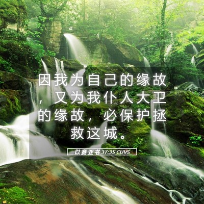 Picture 05 - 以 赛 亚 书 37:35 CUVS - 因 我 为 自 己 的 缘 故 ， 又 为 我 - Bible Verse Picture