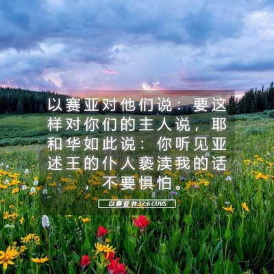 Picture 05 - 以 赛 亚 书 37:6 CUVS - 以 赛 亚 对 他 们 说 ： 要 这 样 对 - Bible Verse Picture