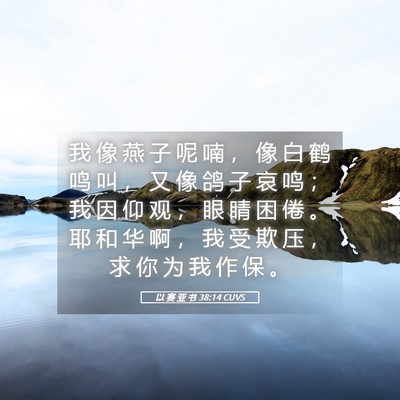 Picture 05 - 以 赛 亚 书 38:14 CUVS - 我 像 燕 子 呢 喃 ， 像 白 鹤 鸣 叫 - Bible Verse Picture
