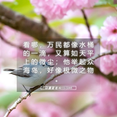 Picture 05 - 以 赛 亚 书 40:15 CUVS - 看 哪 ， 万 民 都 像 水 桶 的 一 滴 - Bible Verse Picture