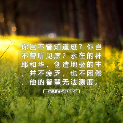 Picture 05 - 以 赛 亚 书 40:28 CUVS - 你 岂 不 曾 知 道 麽 ？ 你 岂 不 曾 - Bible Verse Picture