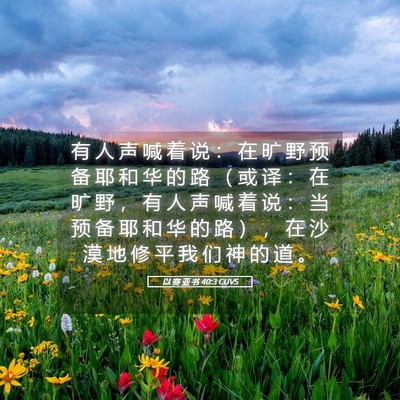 Picture 05 - 以 赛 亚 书 40:3 CUVS - 有 人 声 喊 着 说 ： 在 旷 野 预 备 - Bible Verse Picture