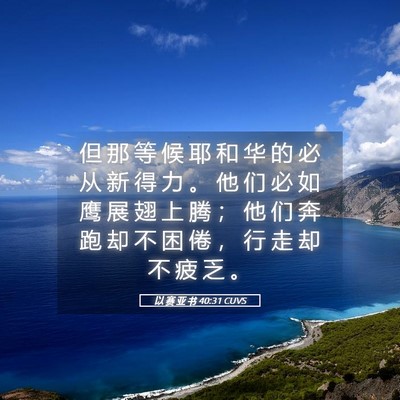 Picture 05 - 以 赛 亚 书 40:31 CUVS - 但 那 等 候 耶 和 华 的 必 从 新 得 - Bible Verse Picture