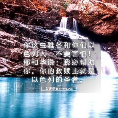 Picture 05 - 以 赛 亚 书 41:14 CUVS - 你 这 虫 雅 各 和 你 们 以 色 列 人 - Bible Verse Picture