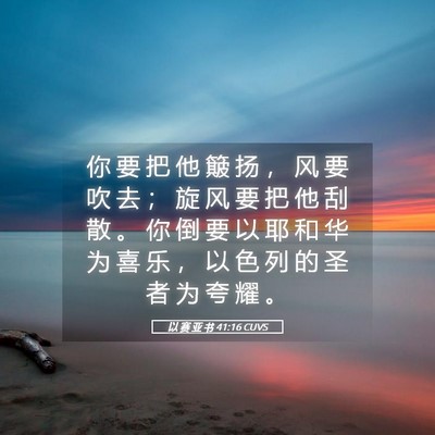 Picture 05 - 以 赛 亚 书 41:16 CUVS - 你 要 把 他 簸 扬 ， 风 要 吹 去 ； - Bible Verse Picture