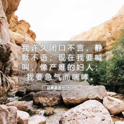 Picture 05 - 以 赛 亚 书 42:14 CUVS - 我 许 久 闭 口 不 言 ， 静 默 不 语 - Bible Verse Picture