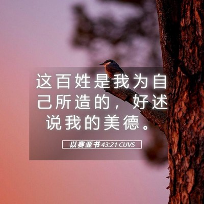 Picture 05 - 以 赛 亚 书 43:21 CUVS - 这 百 姓 是 我 为 自 己 所 造 的 ， - Bible Verse Picture