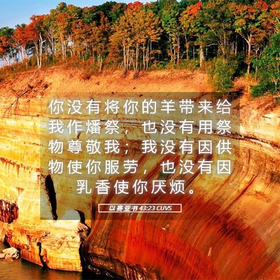 Picture 05 - 以 赛 亚 书 43:23 CUVS - 你 没 有 将 你 的 羊 带 来 给 我 作 - Bible Verse Picture