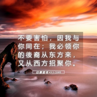Picture 05 - 以 赛 亚 书 43:5 CUVS - 不 要 害 怕 ， 因 我 与 你 同 在 ； - Bible Verse Picture