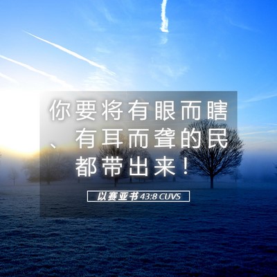 Picture 05 - 以 赛 亚 书 43:8 CUVS - 你 要 将 有 眼 而 瞎 、 有 耳 而 聋 - Bible Verse Picture