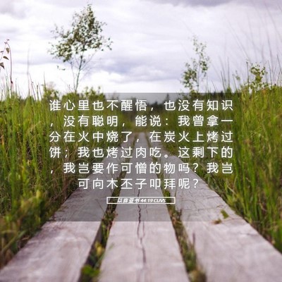 Picture 05 - 以 赛 亚 书 44:19 CUVS - 谁 心 里 也 不 醒 悟 ， 也 没 有 知 - Bible Verse Picture