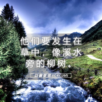 Picture 05 - 以 赛 亚 书 44:4 CUVS - 他 们 要 发 生 在 草 中 ， 像 溪 水 - Bible Verse Picture
